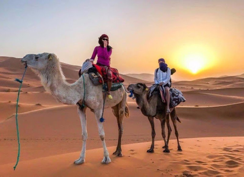 Camel riding across Sahara dunes at sunset